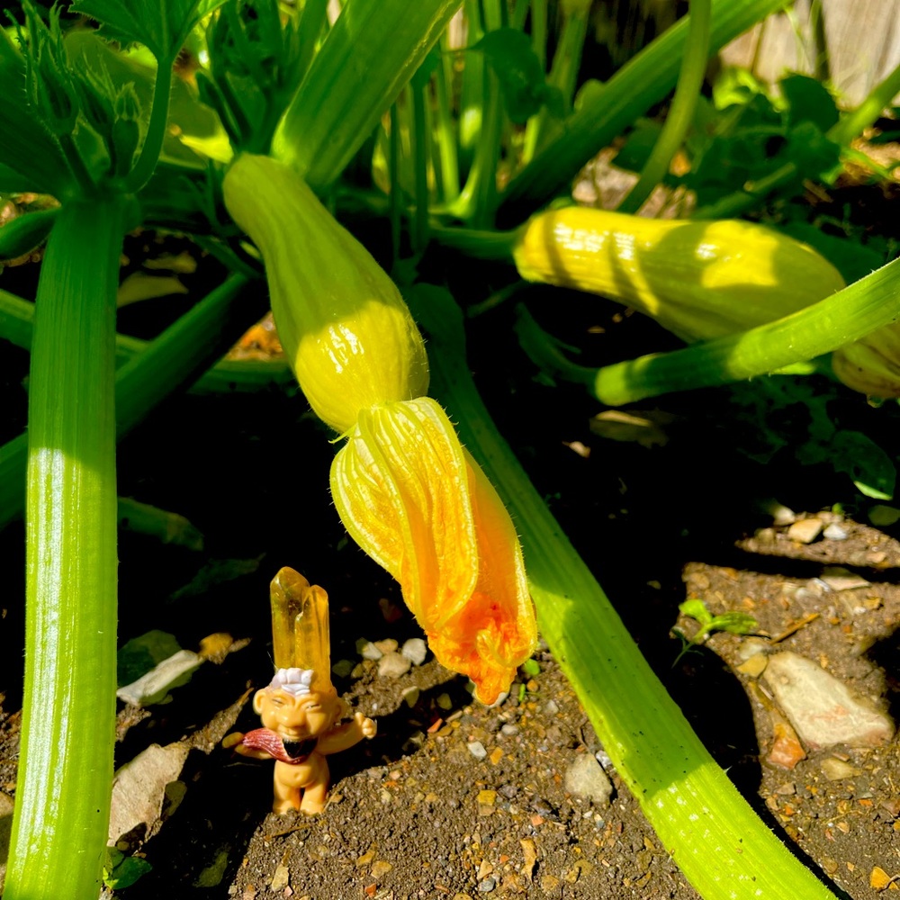 Samsteve143 magical mystery healing  box -1 and 6 crystal cute 🥰 trolls